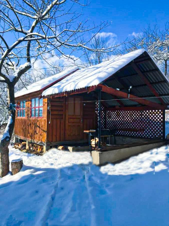 Під Лісом У Гіда Villa Yaremche Eksteriør billede